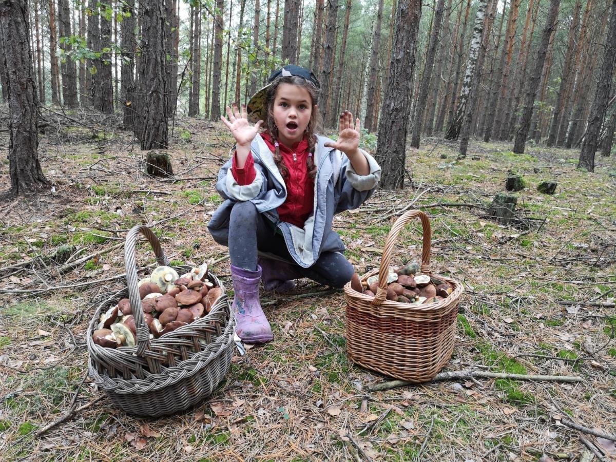 Agroturystyka Plener Miedzichowo Экстерьер фото